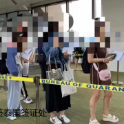 在泰国签证逾期一年不想黑怎么办？