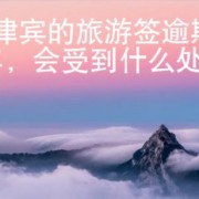 菲律宾的旅游签逾期1年，会受到什么处罚？