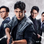 如何评价《我是特种兵之火凤凰》这部电视剧？