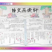 描写海岛与树的诗词（描写海岛与树的诗词名句）