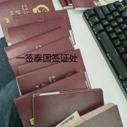 泰国落地签入境流程步骤（泰国落地签入境）