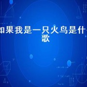 如果我是一只火鸟是什么歌（如果你是一只火鸟歌词）