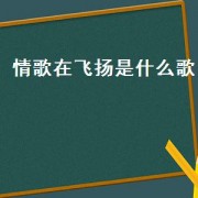 情歌在飞扬是什么歌