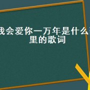 我会爱你一万年是什么歌里的歌词