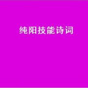 纯阳技能诗词（纯阳诗）