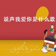 说声我爱你是什么歌（说一声我爱你是什么歌的歌词）