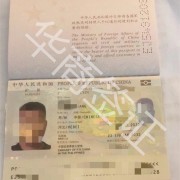 在菲律宾补办护照有哪些类型  华商签证为您盘点 华商签证普及