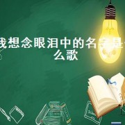 我想念眼泪中的名字是什么歌（歌词中有我的思念是什么歌）