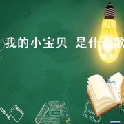 我的小宝贝 是什么歌