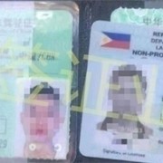 在菲律宾可以学驾照吗(学驾照内容)