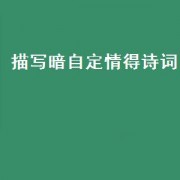 描写暗自定情得诗词（形容今日定情的诗句）