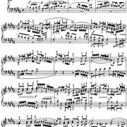 玫瑰爱人 - 雷龙