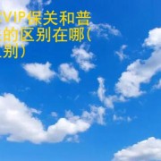 菲律宾VIP保关和普通保关的区别在哪 华商签证讲解