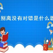 别离没有对错是什么歌（离别没有对和错的歌名）