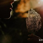 记忆里的经典歌曲，回忆伴着旋律涌上心头